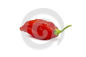 Bhut Jolokia ghost chili pepper isolate on white background