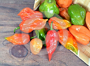 Bhut jolokia: hottest pepper