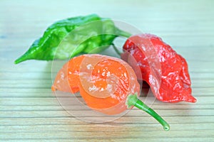 Bhut jolokia pepper