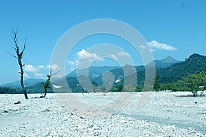 Bhutan Hills across Jayanti River bed - Picture of Buxa Tiger Reserve, Alipurduar District.