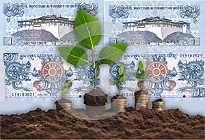 Bhutan one Ngultrum Banknotes Money Growth concept, business success finance Dharmachakra between two dragons