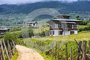 Bhutanese village and rice field , Ura Valley , Bhutan photo