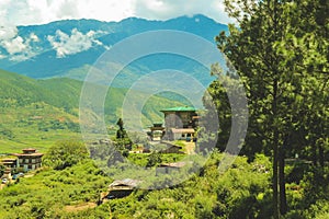 Bhutanese village and terraced field at Punakha, Bhutan