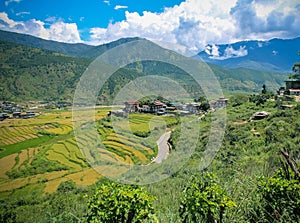 Bhutanese village and terraced field at Punakha, Bhutan