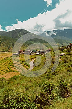 Bhutanese village and terraced field at Punakha, Bhutan