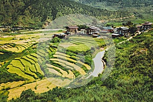 Bhutanese village and terraced field at Punakha, Bhutan