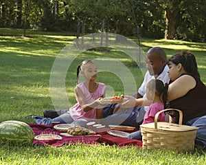 Bi-racial Family Picnic