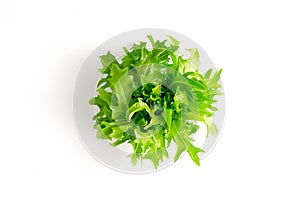 Bibb lettuce isolated on white background. Fresh green salad leaves from garden photo