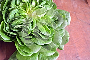 Bibb lettuce on wood photo