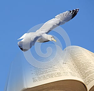 Bible bird of freedom