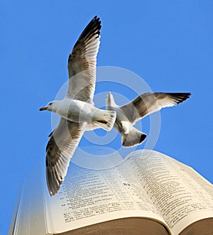 Bible birds of freedom