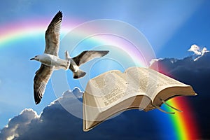 Bible birds of freedom sky clouds flying fly flight spiritual spirituality god bibles open heaven heavens jesus prayer pray christ