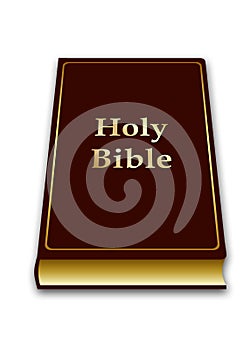 Bible Book