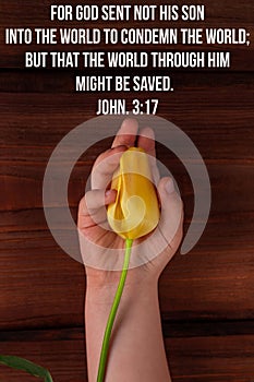 Bible charity quotes for believers. Inspirational Christian verse Child hand hold yellow tulip flower. Love care support