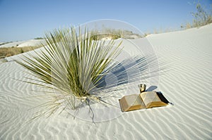 Bible and Cup in white desert