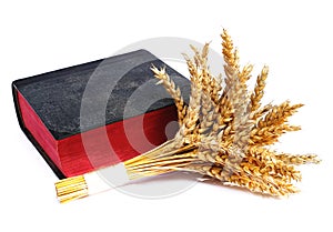 Bible and ears of wheat on a white background