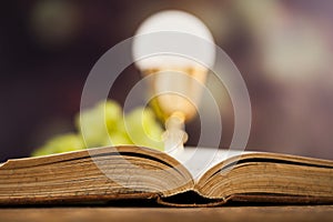 Bible, Eucharist, sacrament of communion background