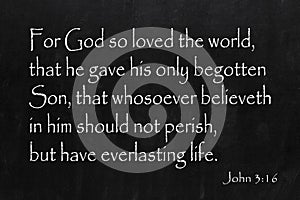 Bible John 3:16 Eternal Life photo