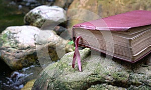 Bible with leather cover on top of a stone next to a pond