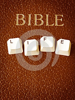 Bible life