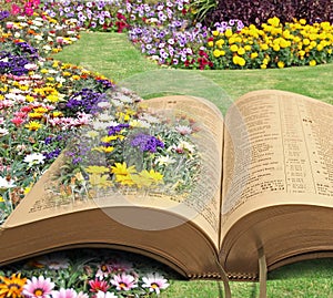 Bible memorial paradise park