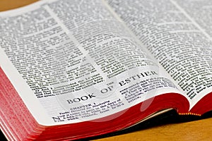 Bible Page - Esther