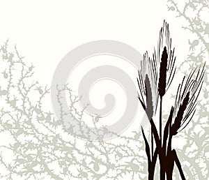 A Bible parable. The grain fell into the thorns. Vector drawing