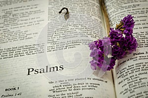 Bible : Psalms photo