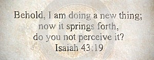Bible quote engraved into stone wall Isaiah 49:9
