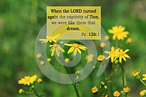 Bible quotes on yellow flowers background. Card with text sign for believers. Inspirational verse thoughts for praying