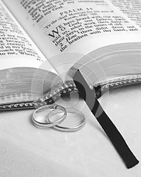 Bible and Rings