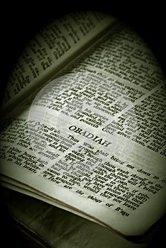 Bible Series Obadiah sepia