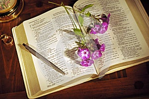 Bible still life