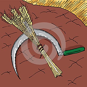 Bible stories - The Parable of the Growing Seed photo