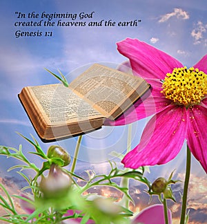 Bible story of creation