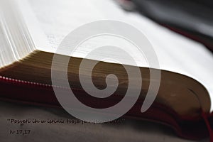 The Gospel of John 17,17 about the truth. From the Bible