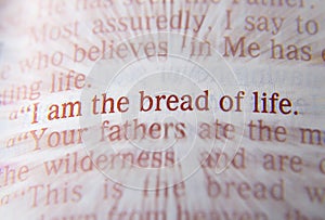 Bible text - I am the bread of life - John 6:48