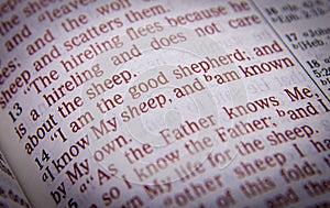 Bible text - I am the good shepherd - John 10:14 photo