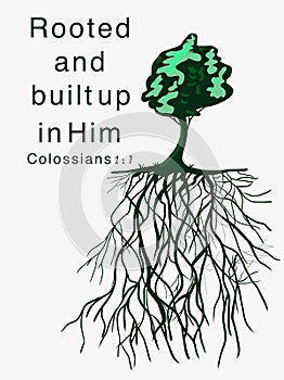 Bible verse Colossians 2 Rooted