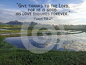 Bible verse inspirational quote - Give thanks to The Lord for He is good. His Love endures forever. Psalm 118:29 With field view