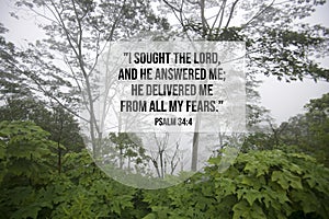 Bible verse inspirational quote - I sought the lord, and He answered me, He delivered me from all my fears. Psalm 34:4