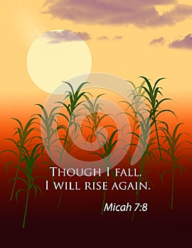 Bible Verse Micah 7:8