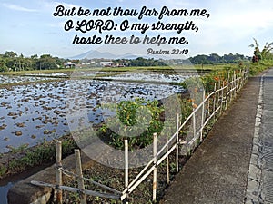 Bible verse quote - But be not Thou far from me, o Lord, o my strength, haste Thee to help me. Psalms 22:19. Bible verses. photo