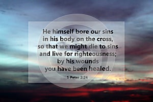 Bible verse quote - Him himself bore our sins in his body on the cross, so that we might die to sins and live for righteousness photo