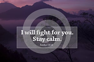 Bible verse quote - I will fight for you. Stay calm. Exodus 14:14 With violet nature landscape background