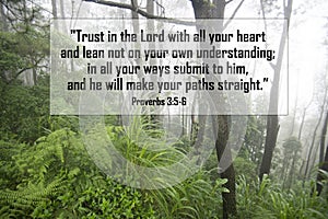 Bible verse quote - Trust in the Lord with all your heart and lean not on your own understanding, in all your ways submit to him