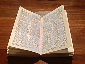 Bible on Wood