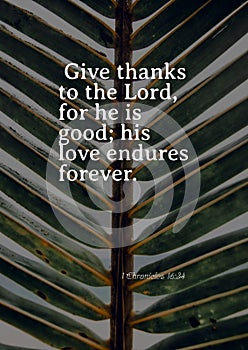 Bible Words  1 Chron icles 16:34 ` Give thanks to the lord, for he is Good ; his love Endure Forever photo