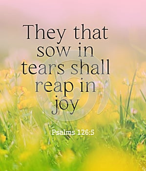 Bible words  ` They that sow in tears shall reap in joy  Psalms 126:5`