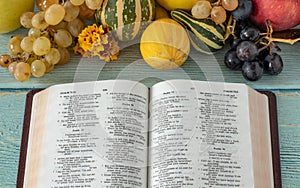 The biblical concept of thanksgiving and gratitude to God and Jesus Christ. The fruit of the Spirit.